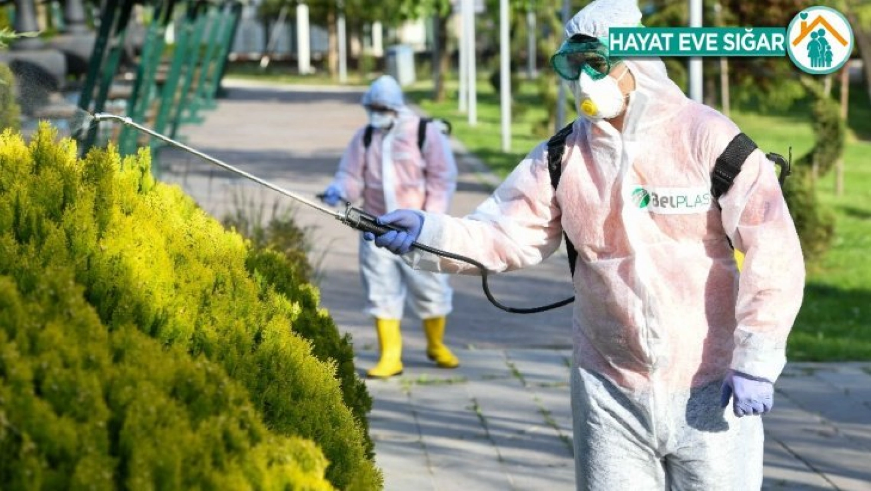 Ankara'da sinek ve haşerelere karşı ilaçlama