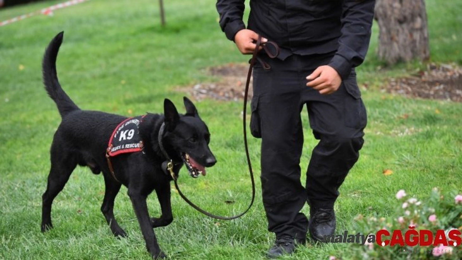 Ankara itfaiyesi K-9 köpekleri artık lisanslı