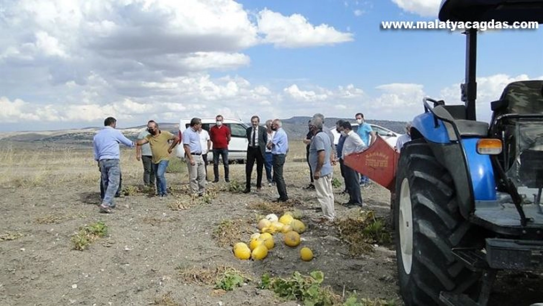 Arguvan'da çerezlik kabak hasadına başlandı