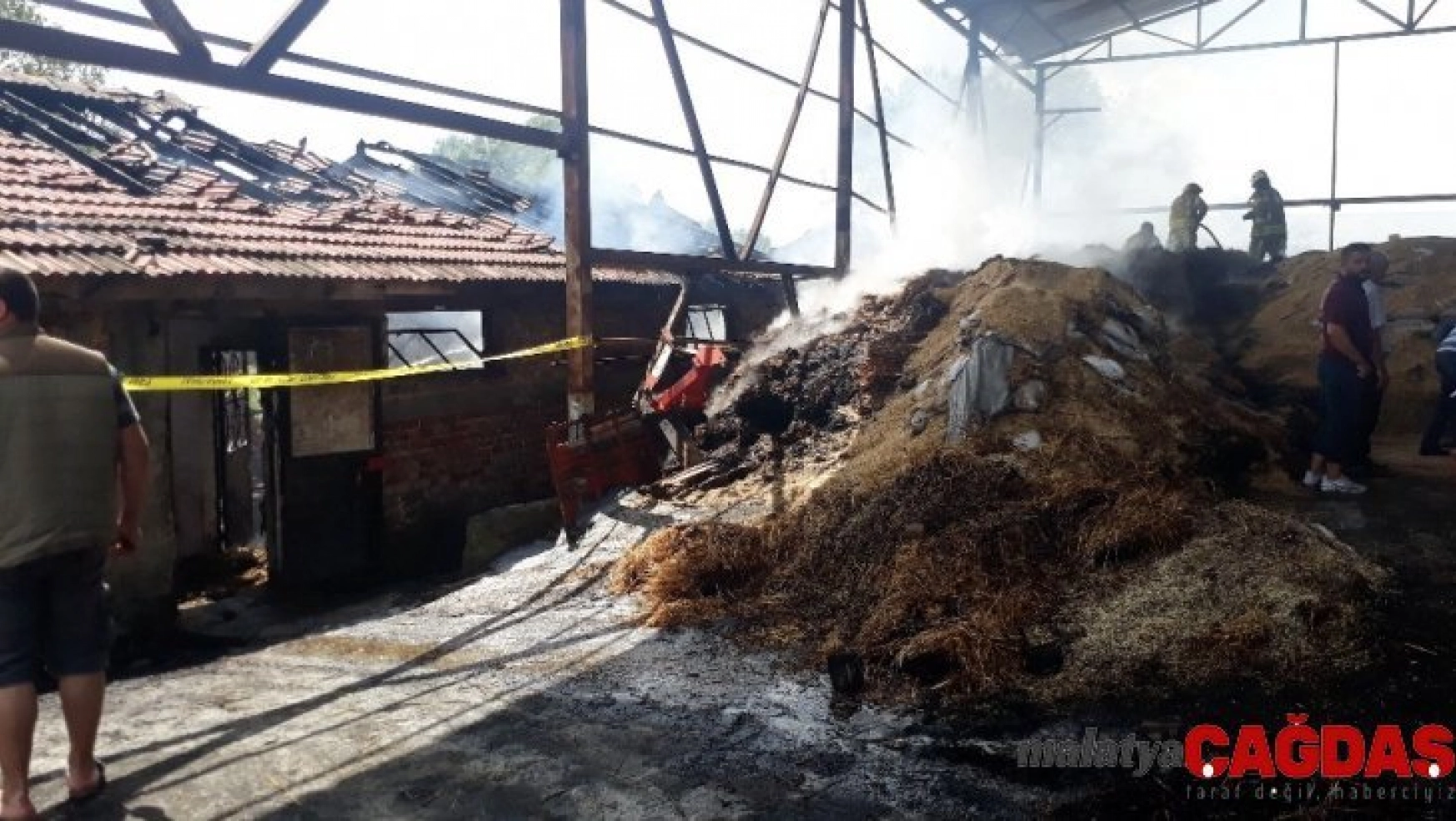 Arnavutköy'de feci olay: 11 büyükbaş hayvan yanarak telef oldu