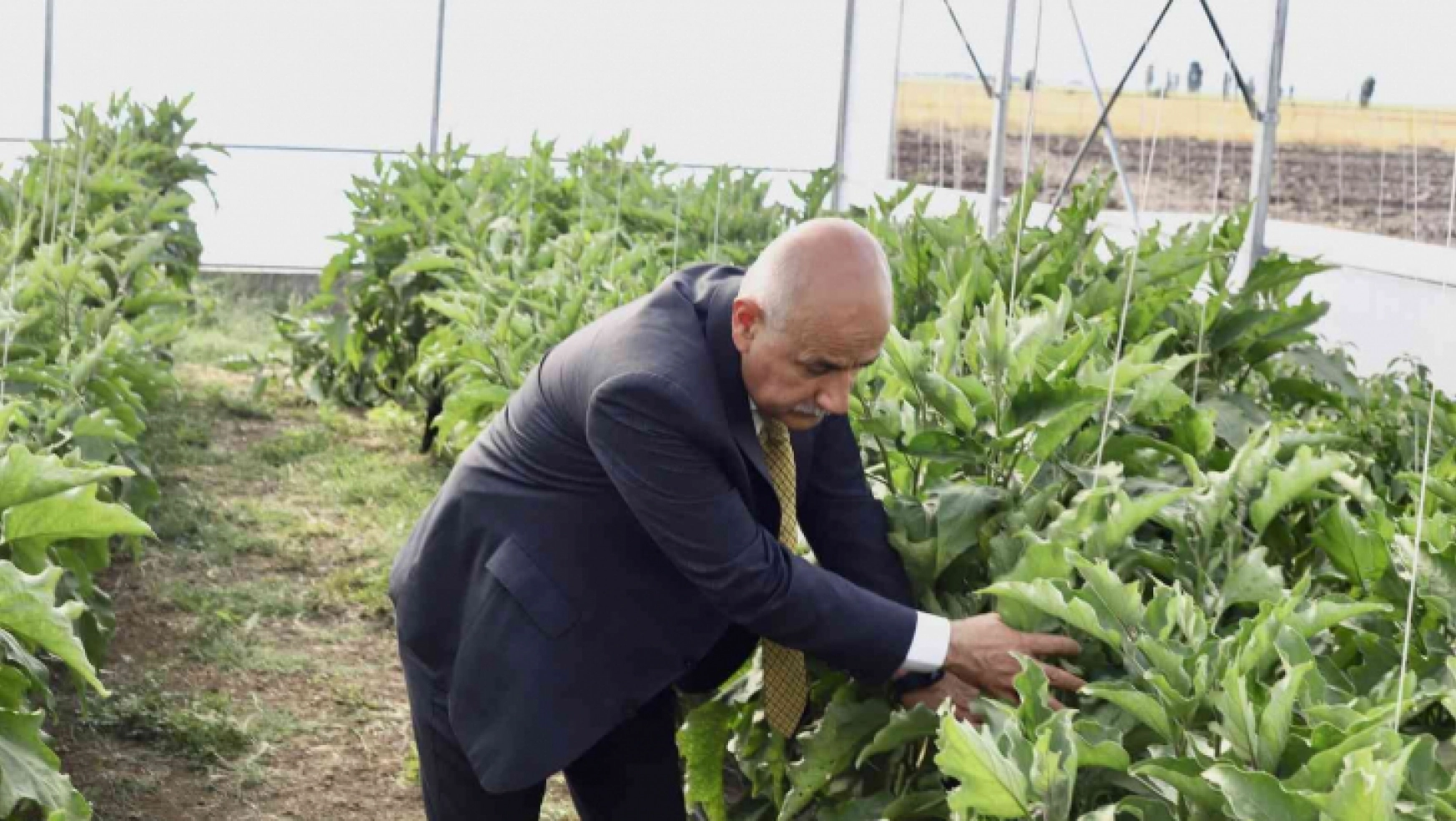 Bakan Kirişci: 'Yılın ilk 8 ayında tarım ürünleri ihracatımız 21,5 milyar dolar'