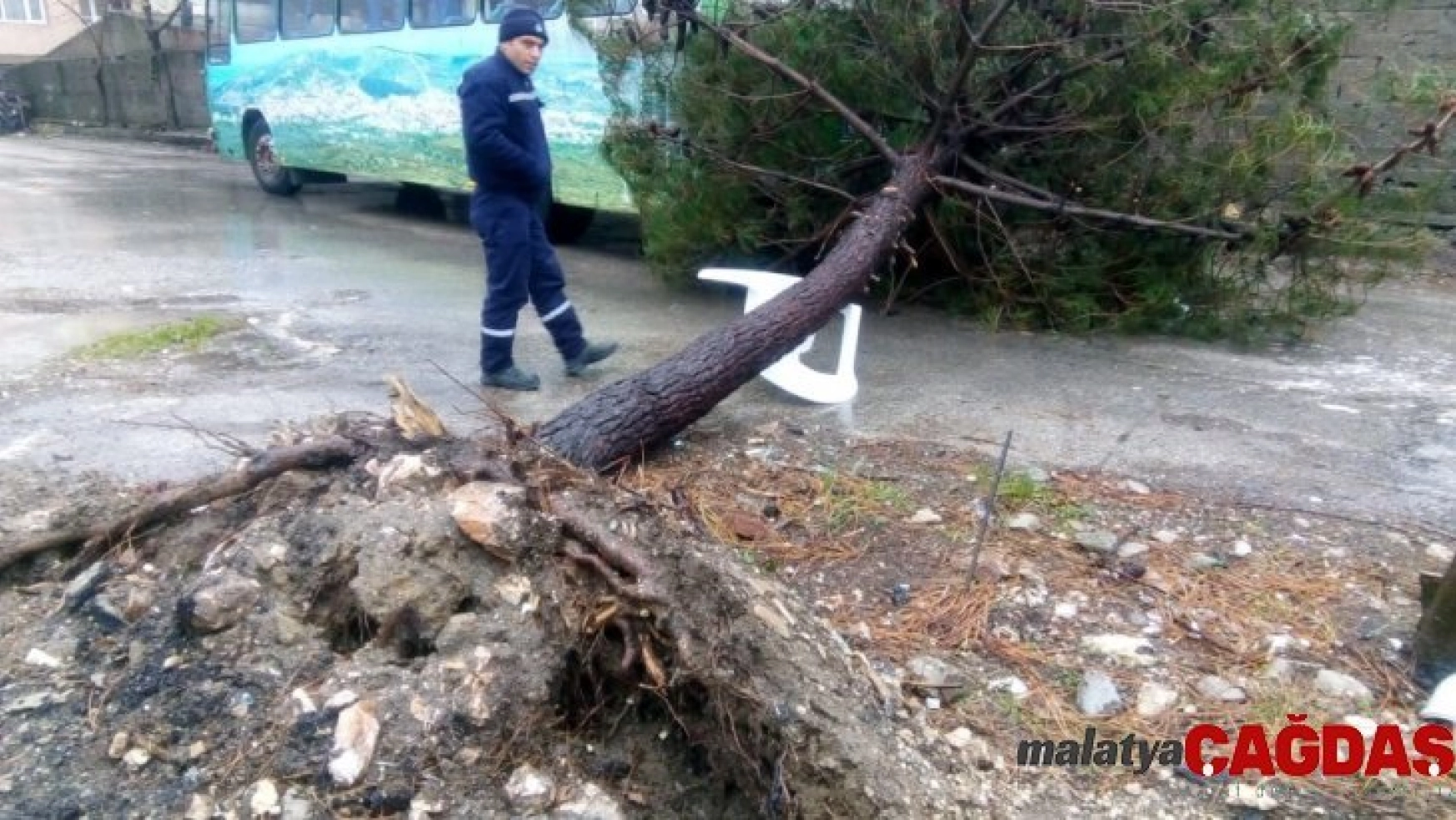 Bandırma'da şiddetli fırtınanın yaraları sarılıyor