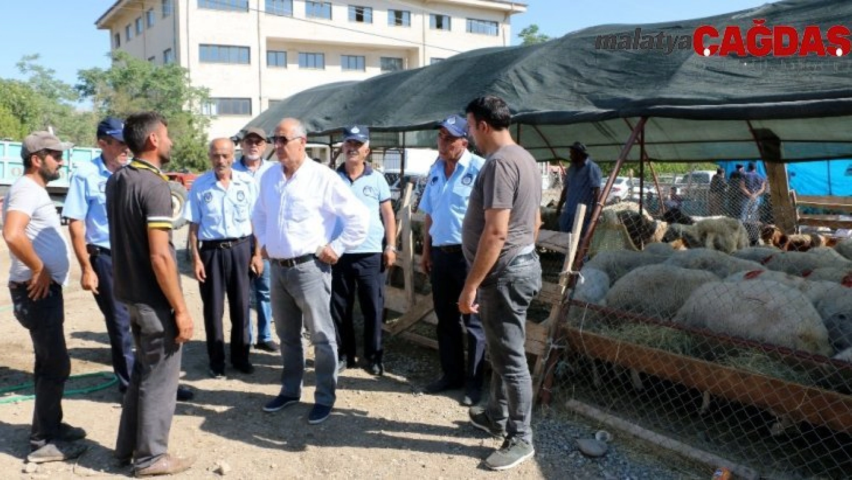 Başkan Karadağ hayvan pazarını denetledi