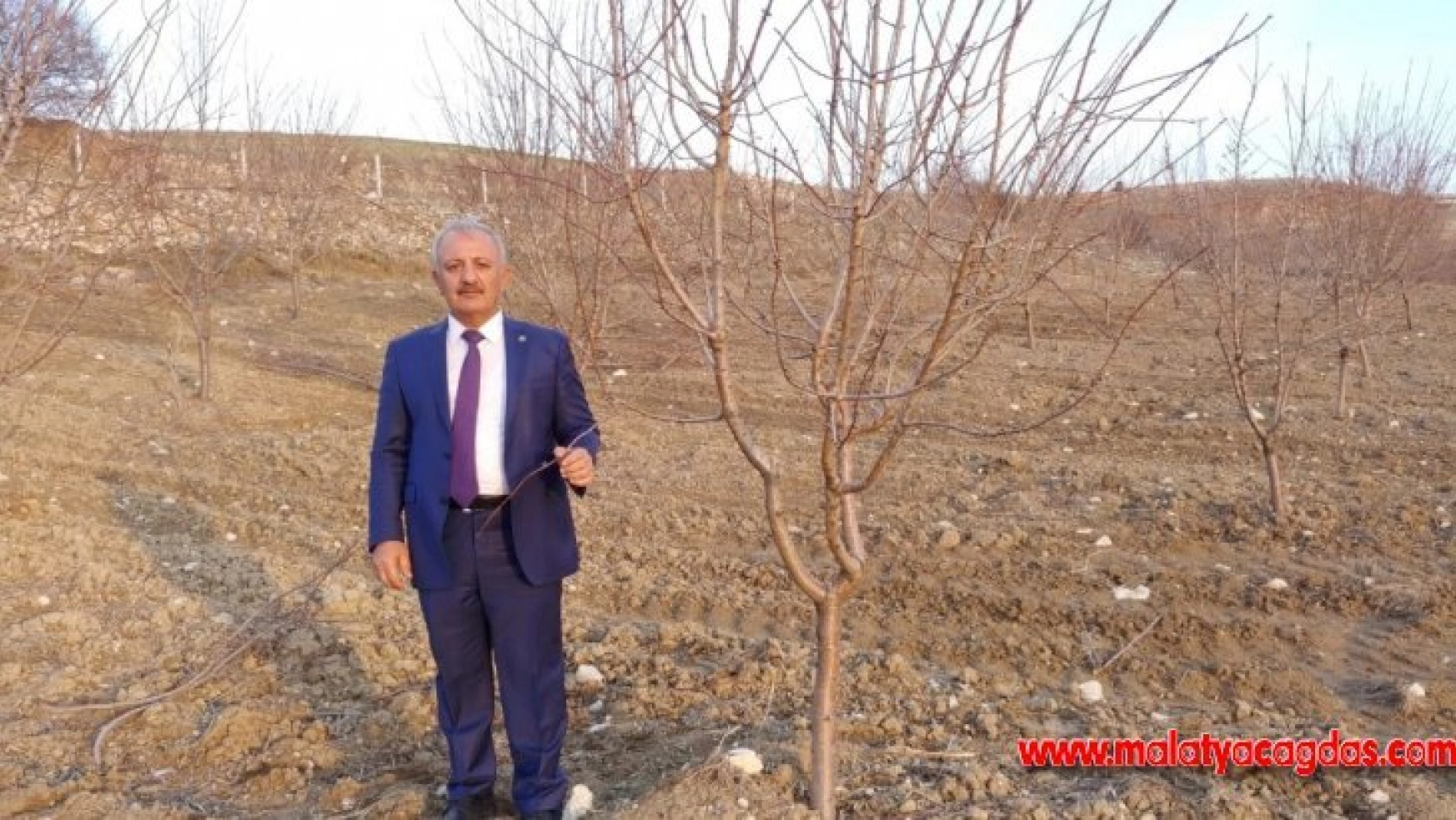 Başkan Şahan: 'Adıyaman'da 150 bin badem ağacı kurudu'