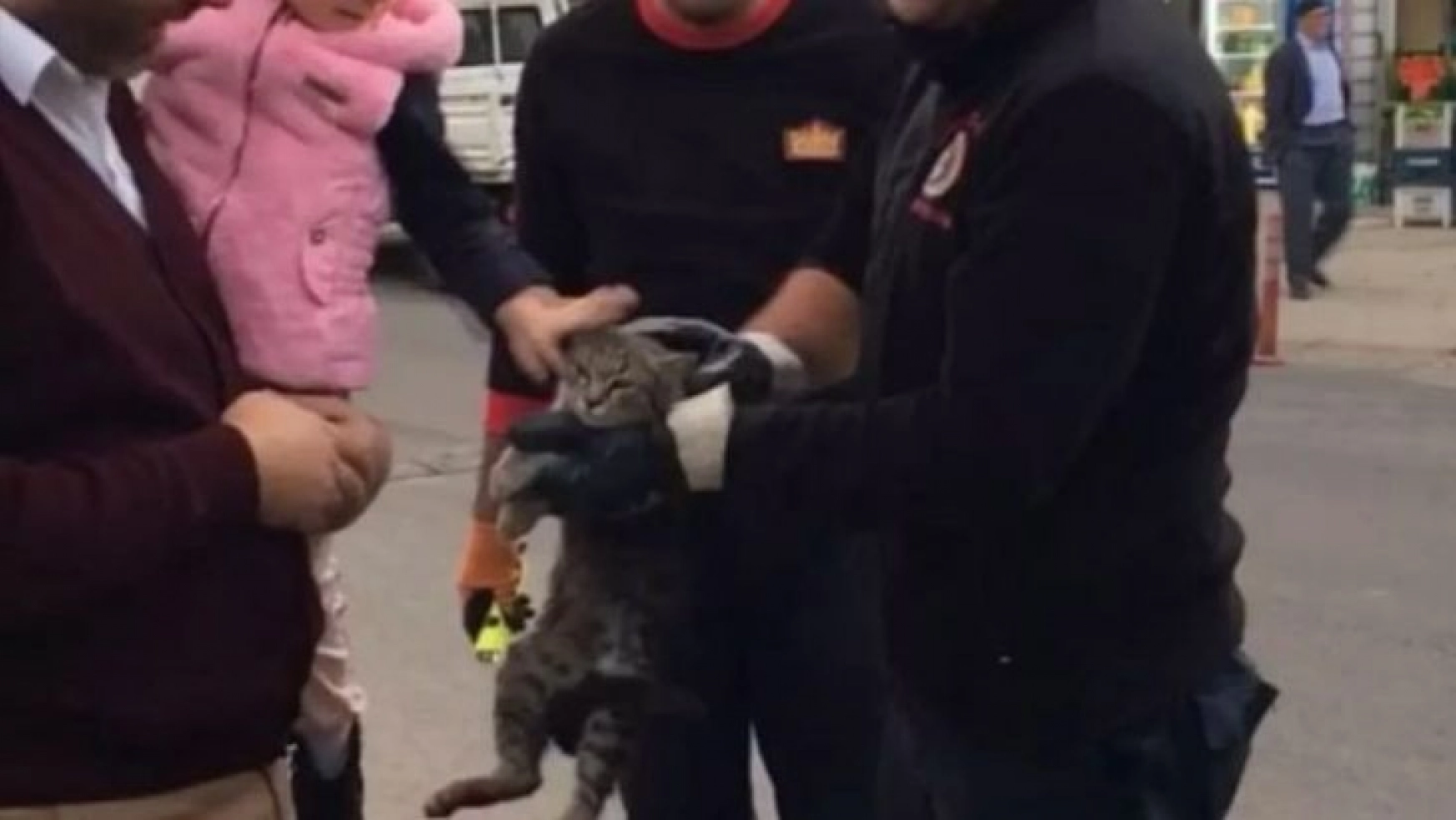 Bingöl'de aracın motor kısmına giren kediyi itfaiye ekipleri kurtardı