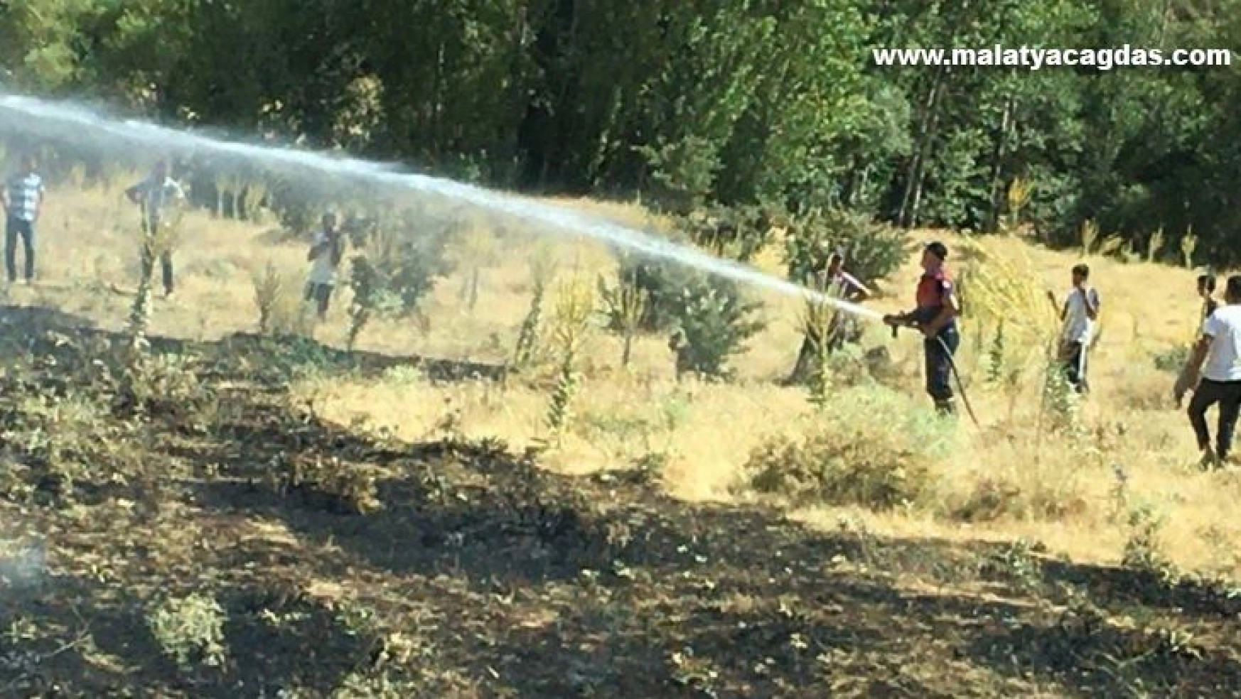 Bingöl'de korkutan yangın: Alevler tarlalara ulaşmadan söndürüldü