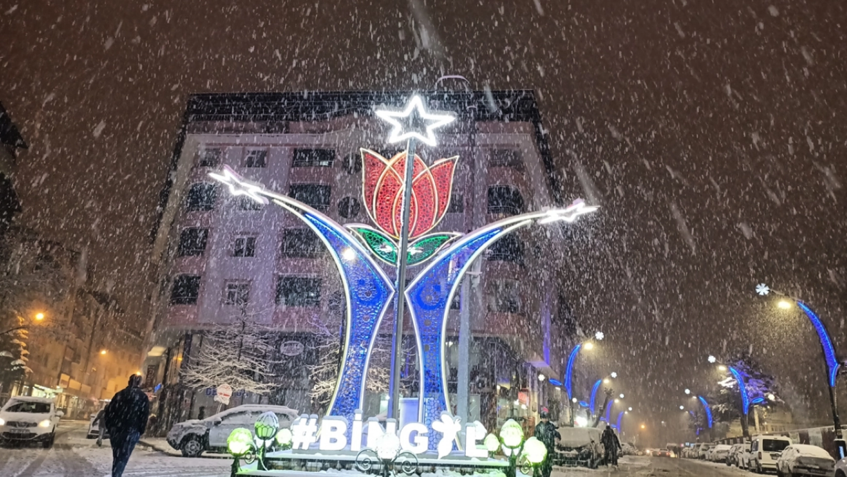 Bingöl'de yoğun kar yağışı etkili oluyor