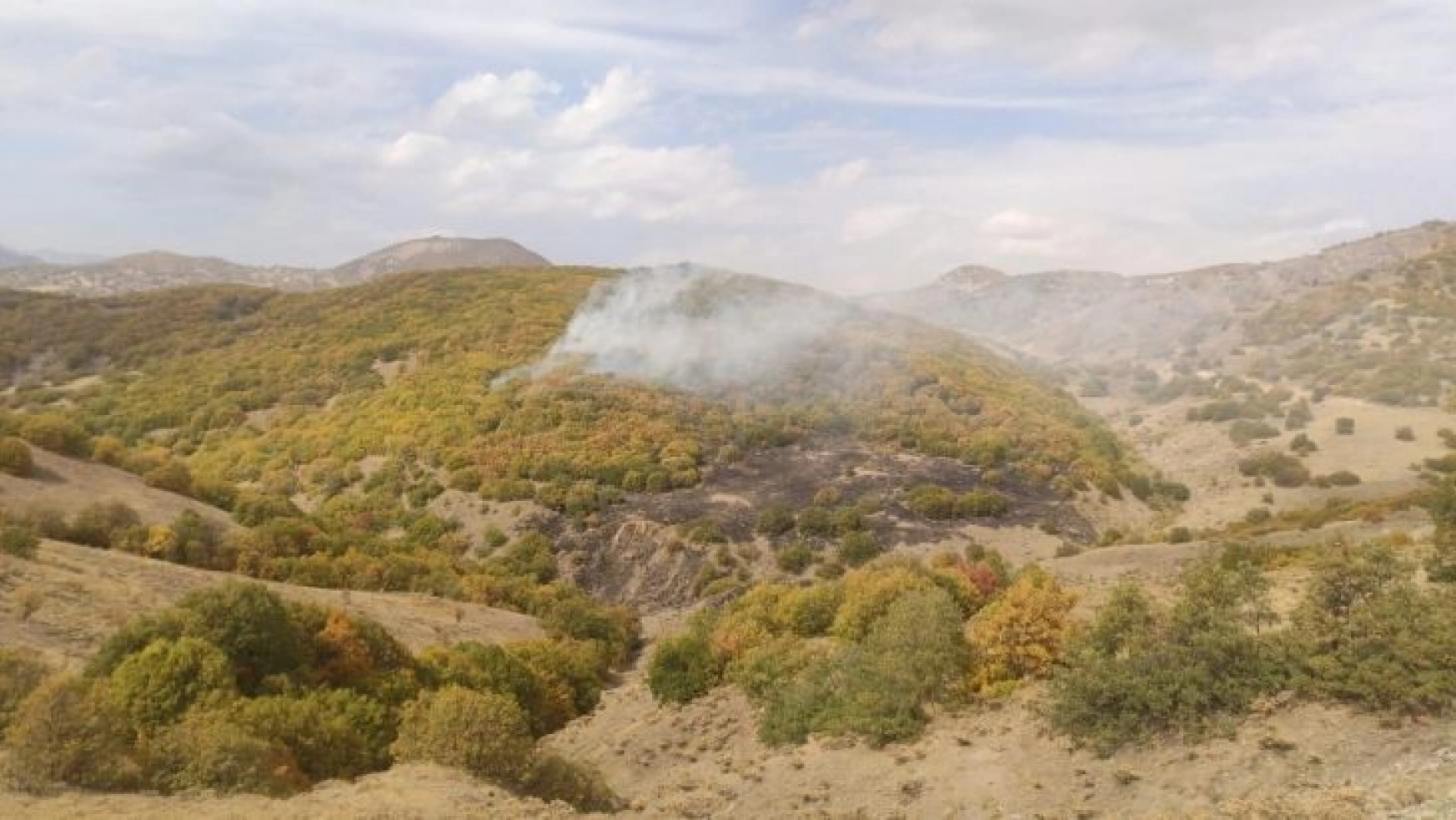 Bingöl'deki orman yangınları kontrol altına alındı