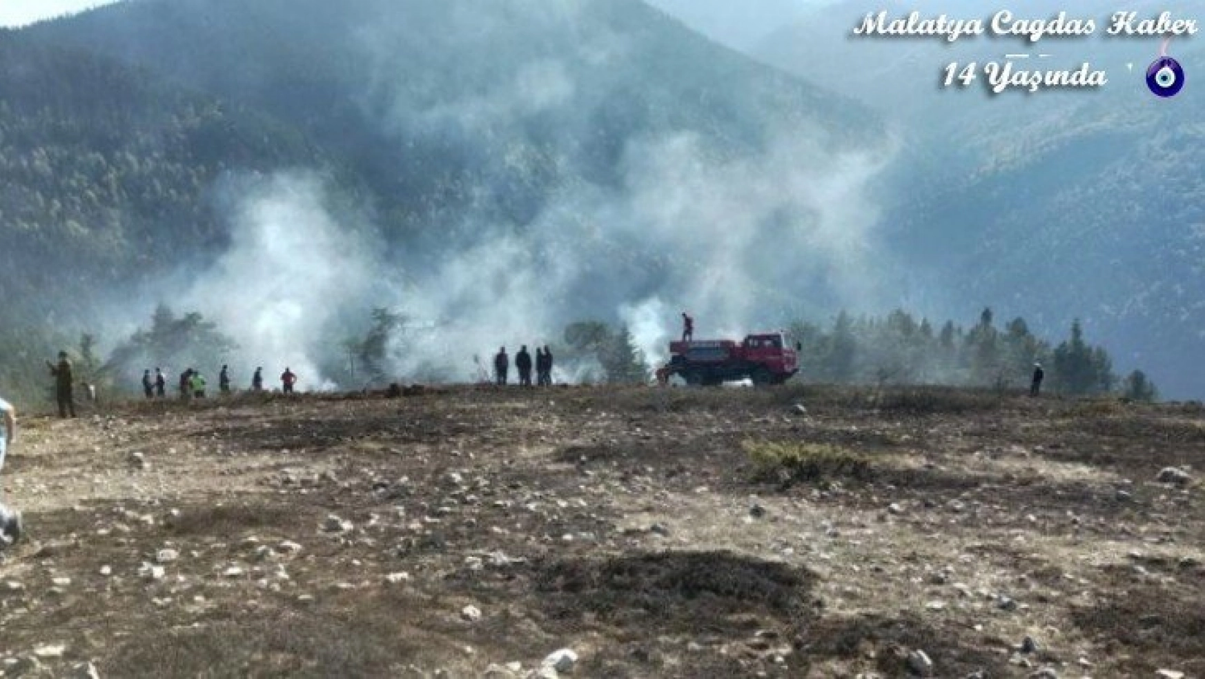 Bolu'da, orman yangını büyümeden söndürüldü