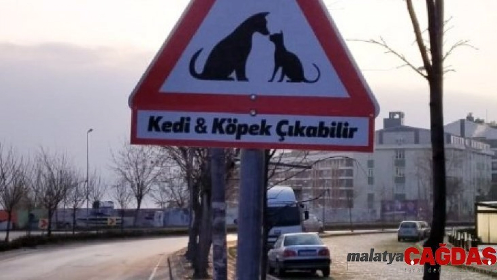 Büyükçekmece'ye sokak hayvanları için uyarı levhası