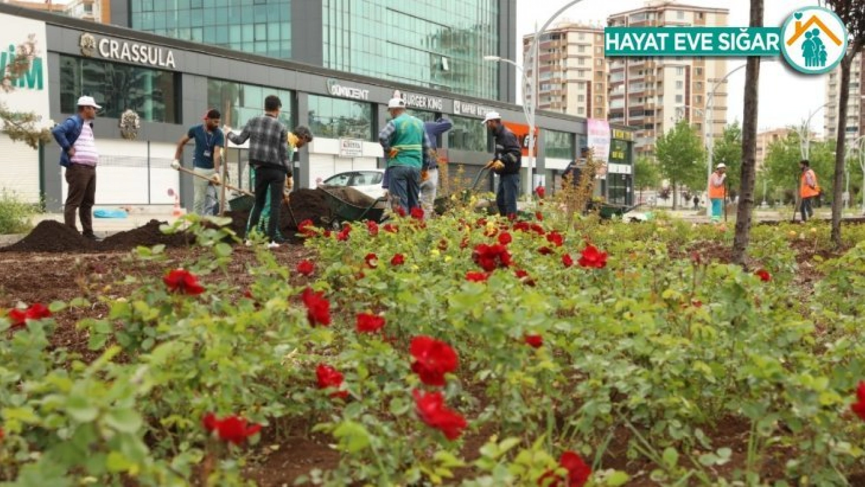 Büyükşehir çalışıyor, Diyarbakır yeşilleniyor