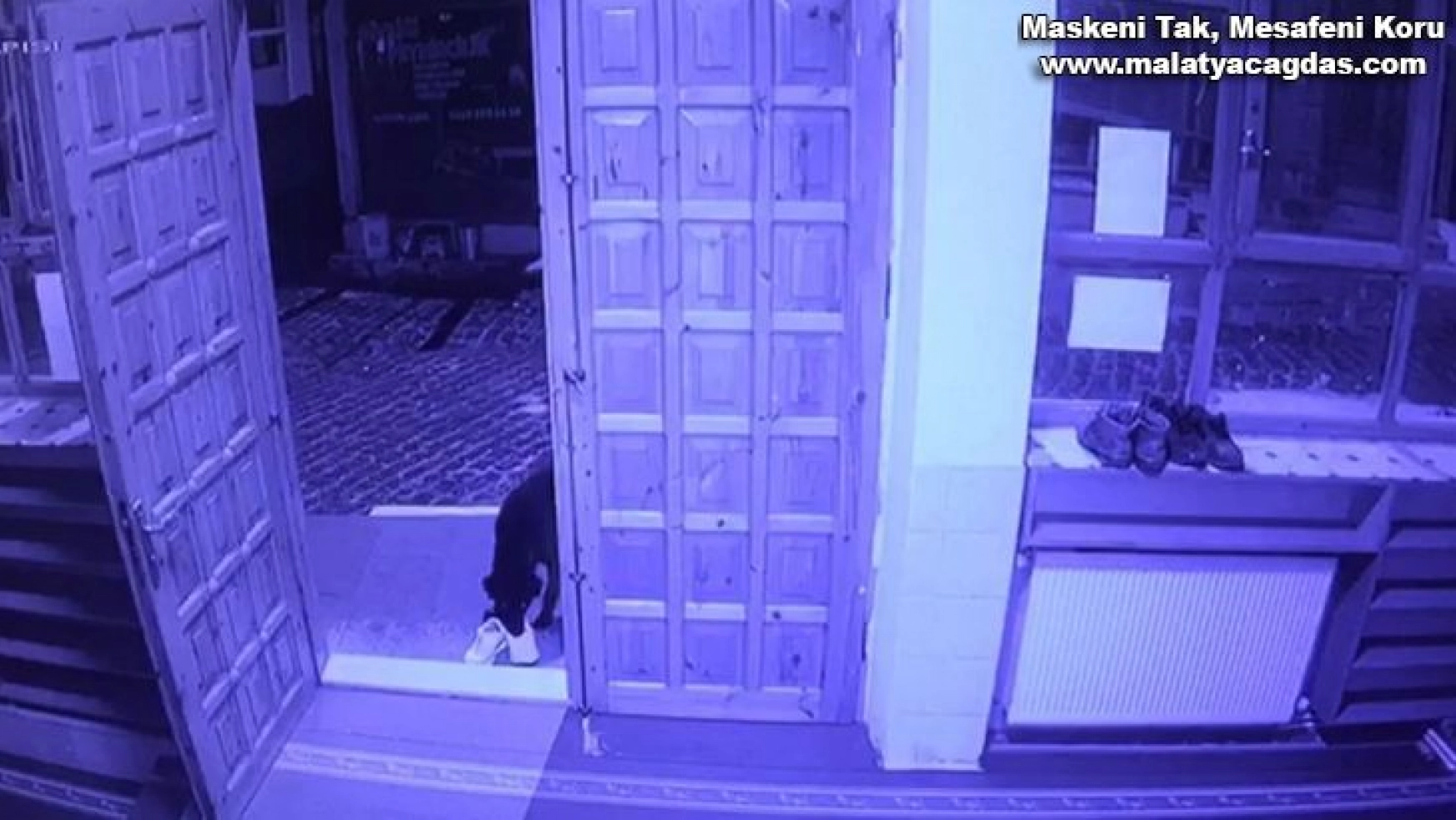 Cami cemaatinin ayakkabısını çalan sevimli hırsız kameraya yakalandı