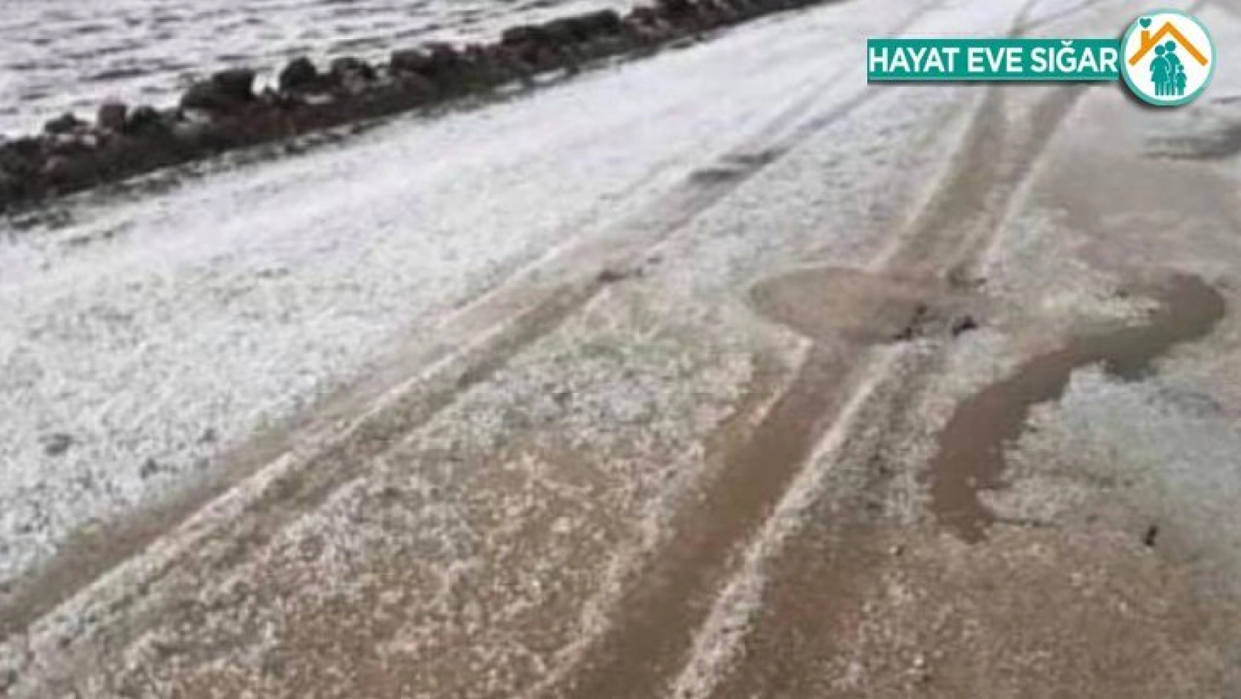 Diyarbakır'da dolu ekili alanlarda zarara yol açtı