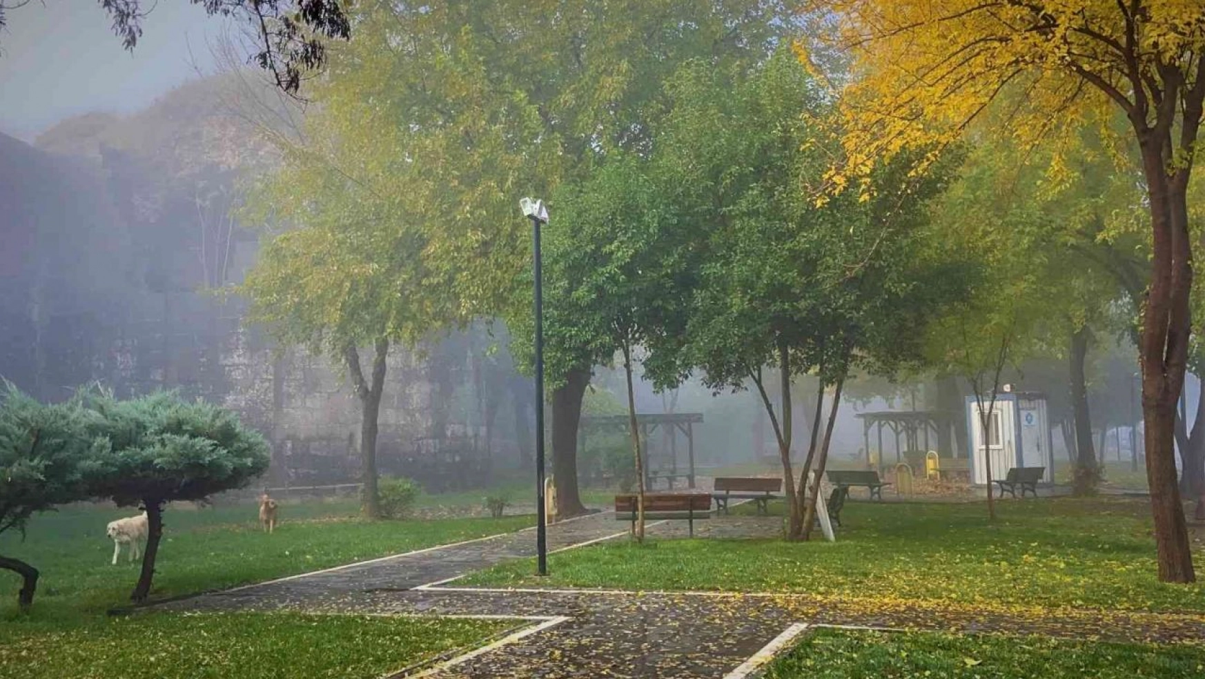 Diyarbakır'da yoğun sis tarihi ilçede görsel şölen oluşturdu