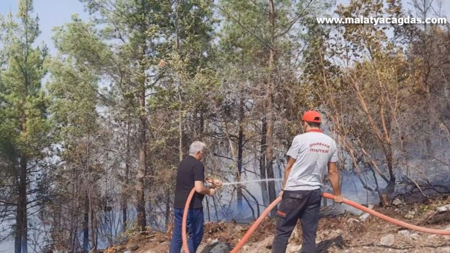 Diyarbakır İtfaiyesi Alanya'da yangına müdahale çalışmalarını sürdürüyor