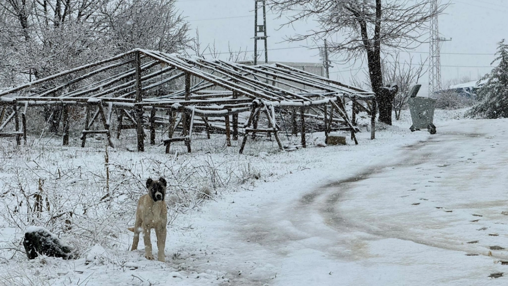 Doğanşehir'de kar yağışı etkili oldu.