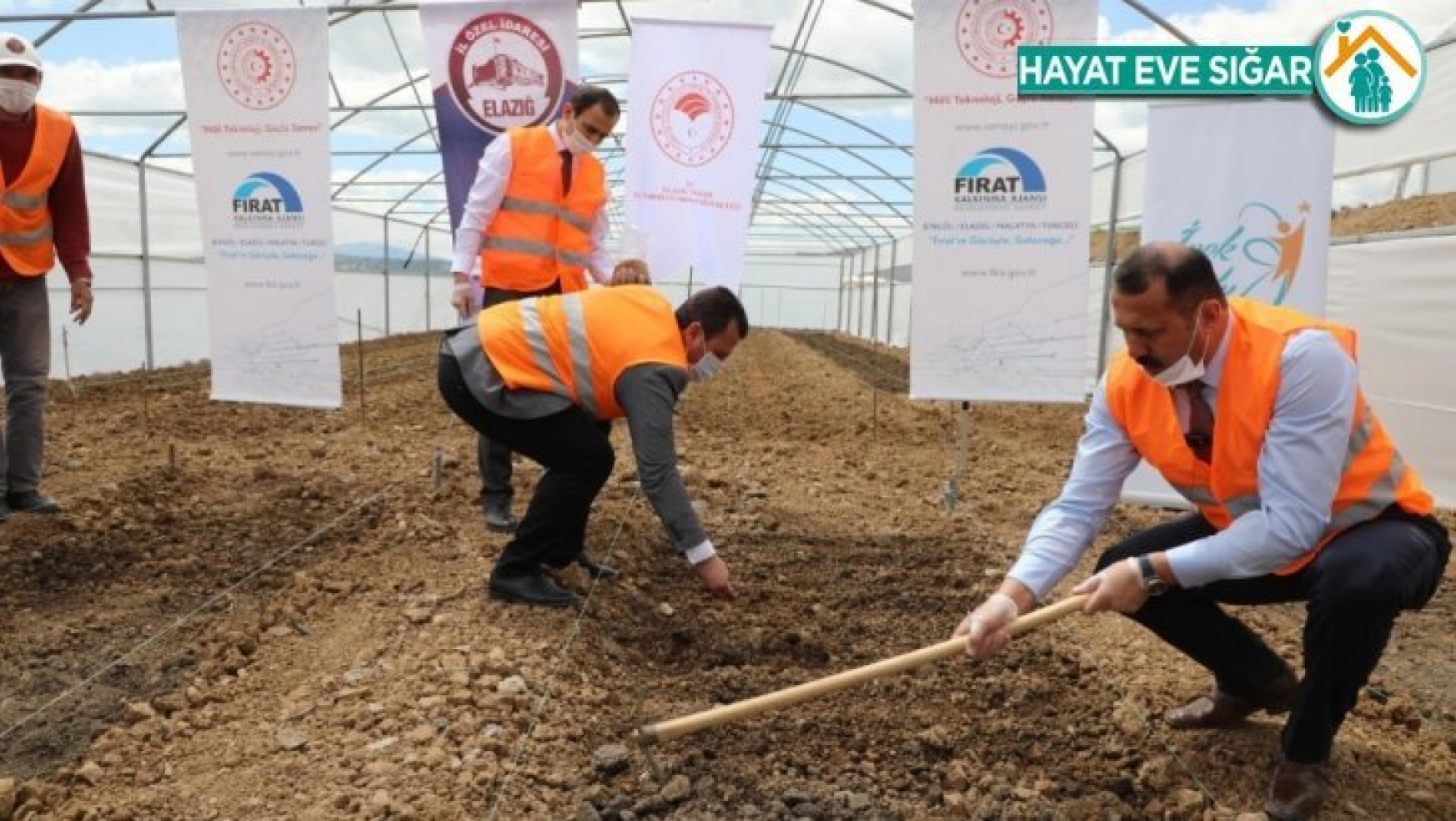 Elazığ'da çiftçiye 2 milyon fide desteği için üretim