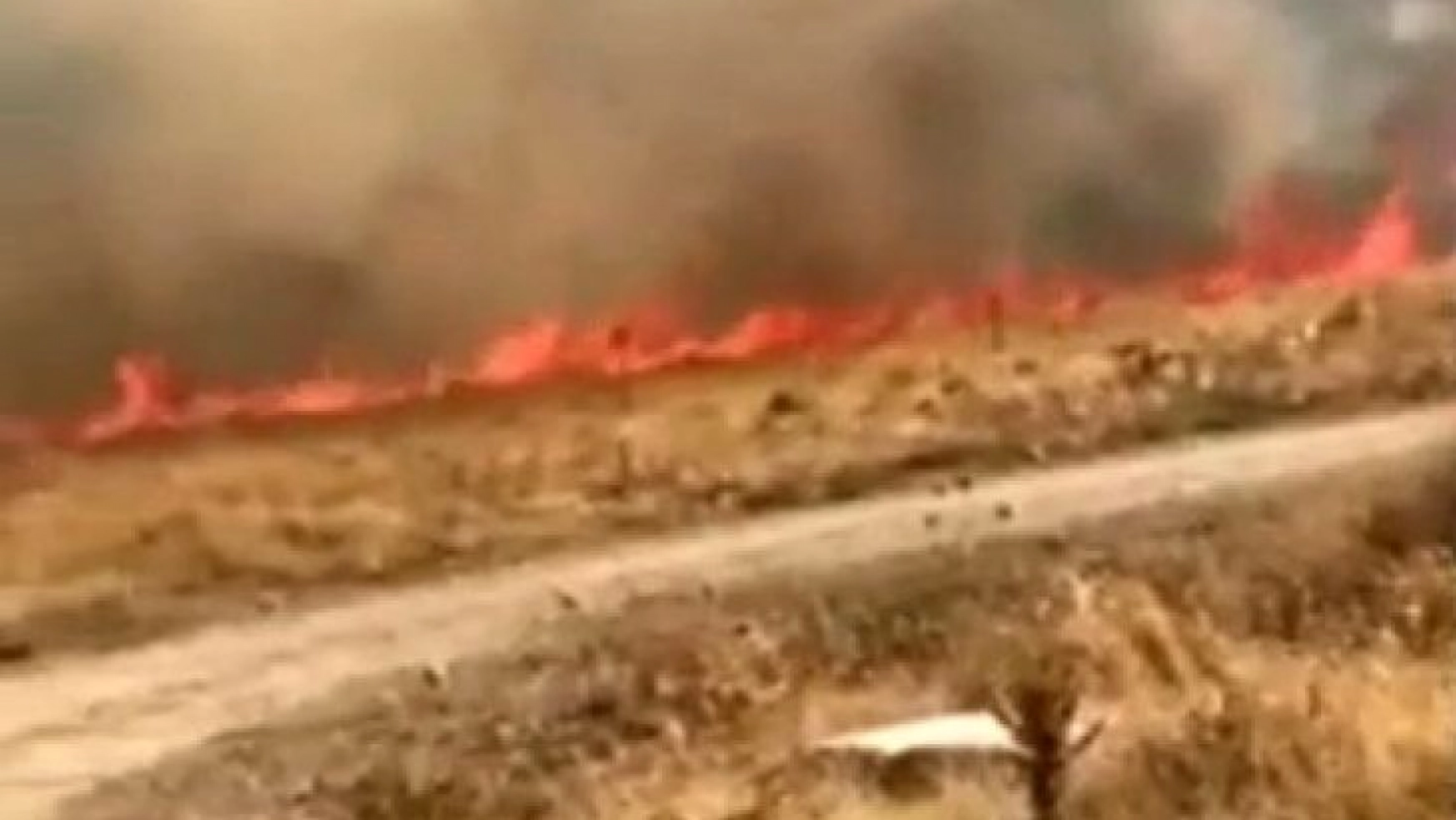 Elazığ'da korkutan yangın: 10 dönüm alan zarar gördü