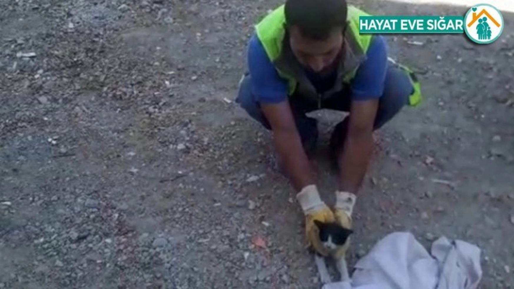 Elazığ'da yıkımı durduran kediler 4 saat sonra kurtarıldı