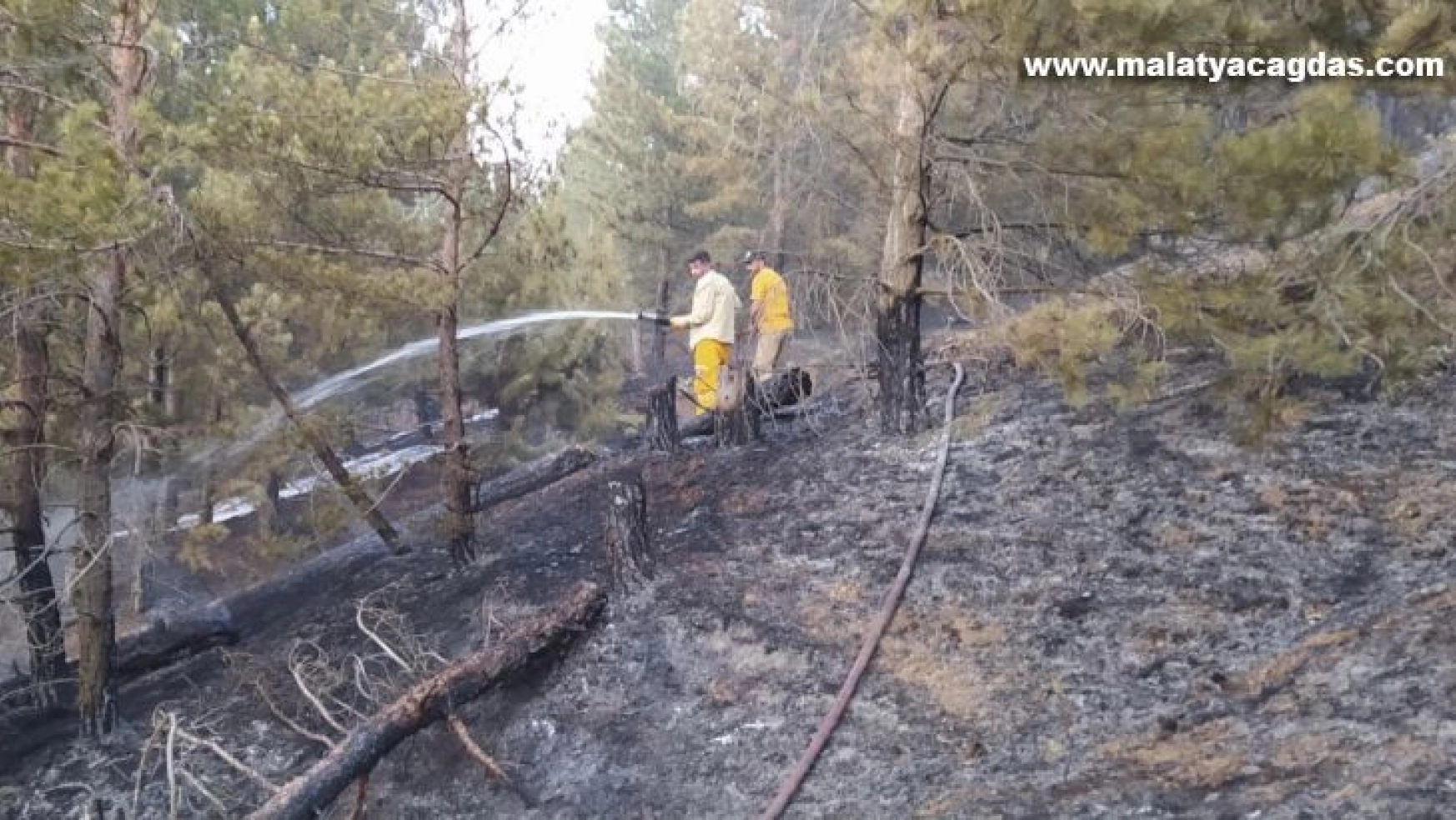 Elazığ'daki orman yangını söndürüldü
