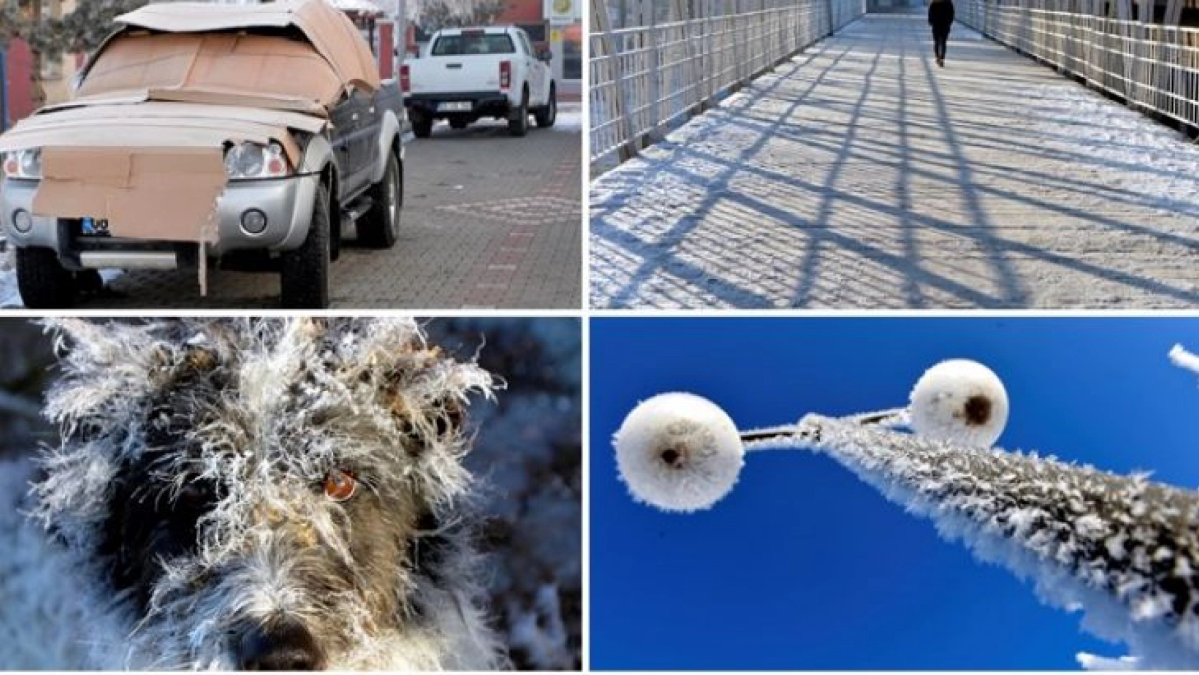 Doğu'da en soğuk hava Ardahan ve Kars'ta görüldü
