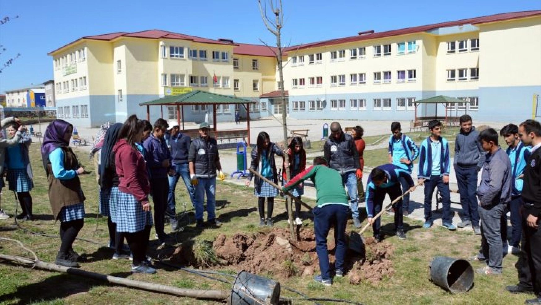 Doğubayazıt'ta okul bahçeleri ağaçlandırılıyor
