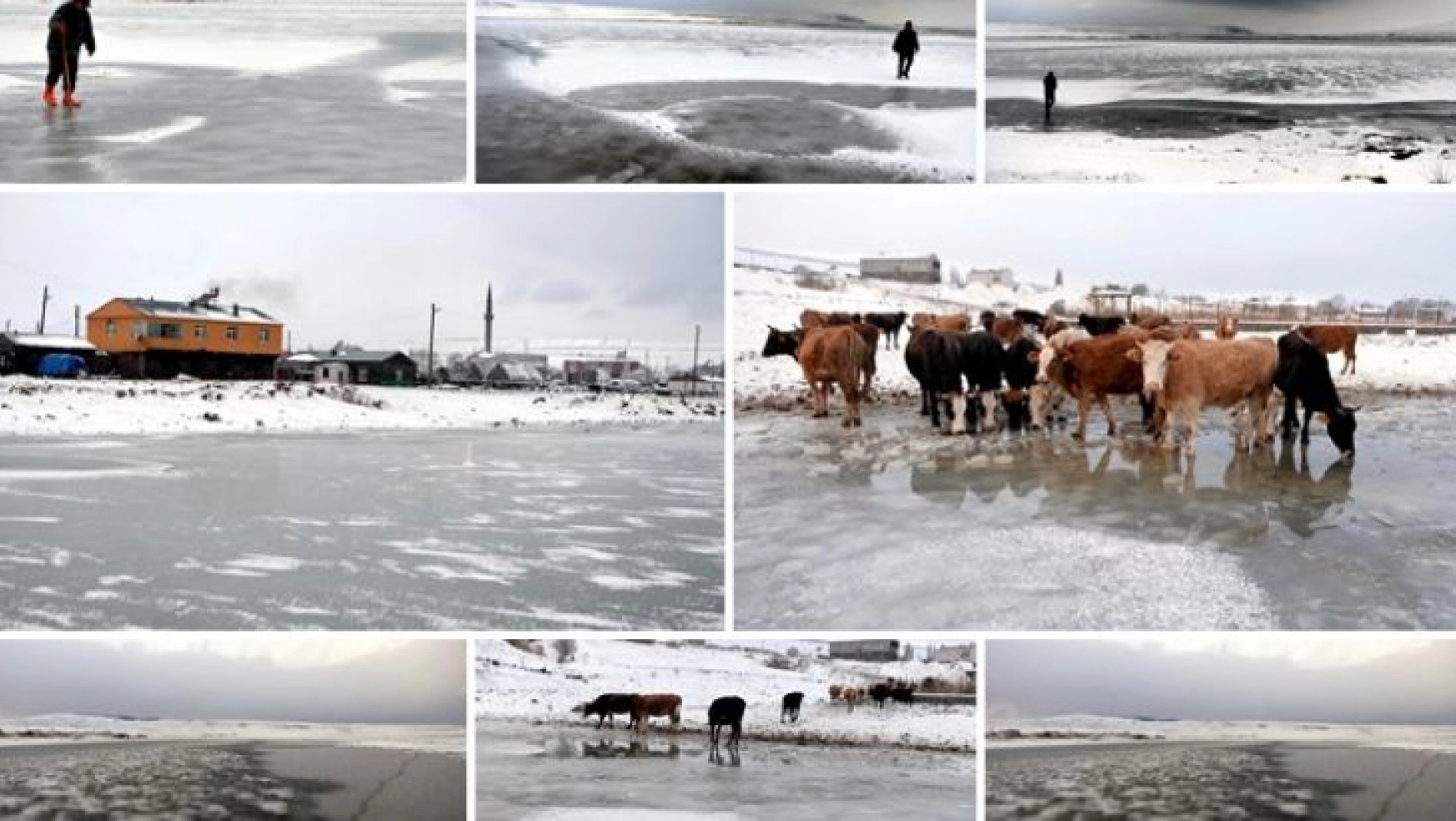 Ardahan'daki Aktaş Gölü dondu