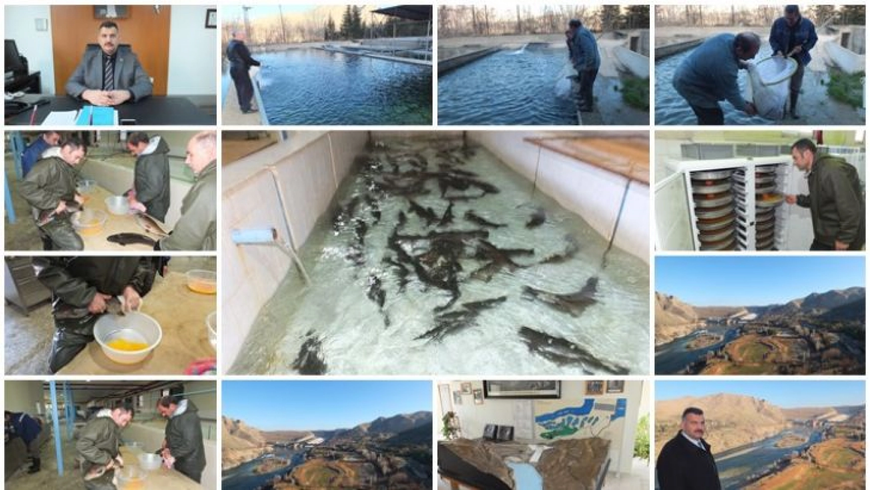 Elazığ 'yavru balık' üretim merkezi oldu
