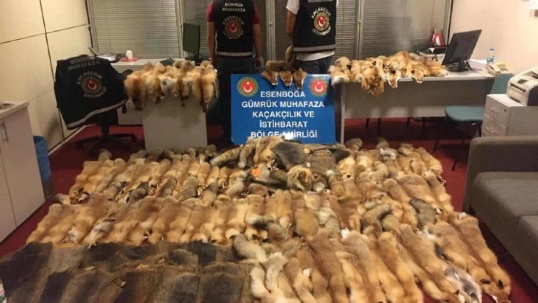 Esenboğa Havalimanı'nda 350 bin liralık kunduz ve tilki postu ele geçirildi