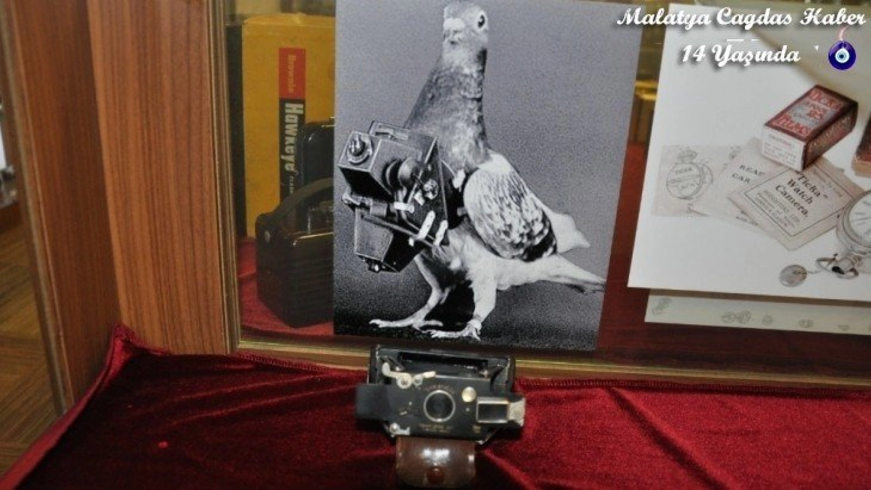 Fotoğraf Makinesi müzesinde Güvercin drone ilgi görüyor