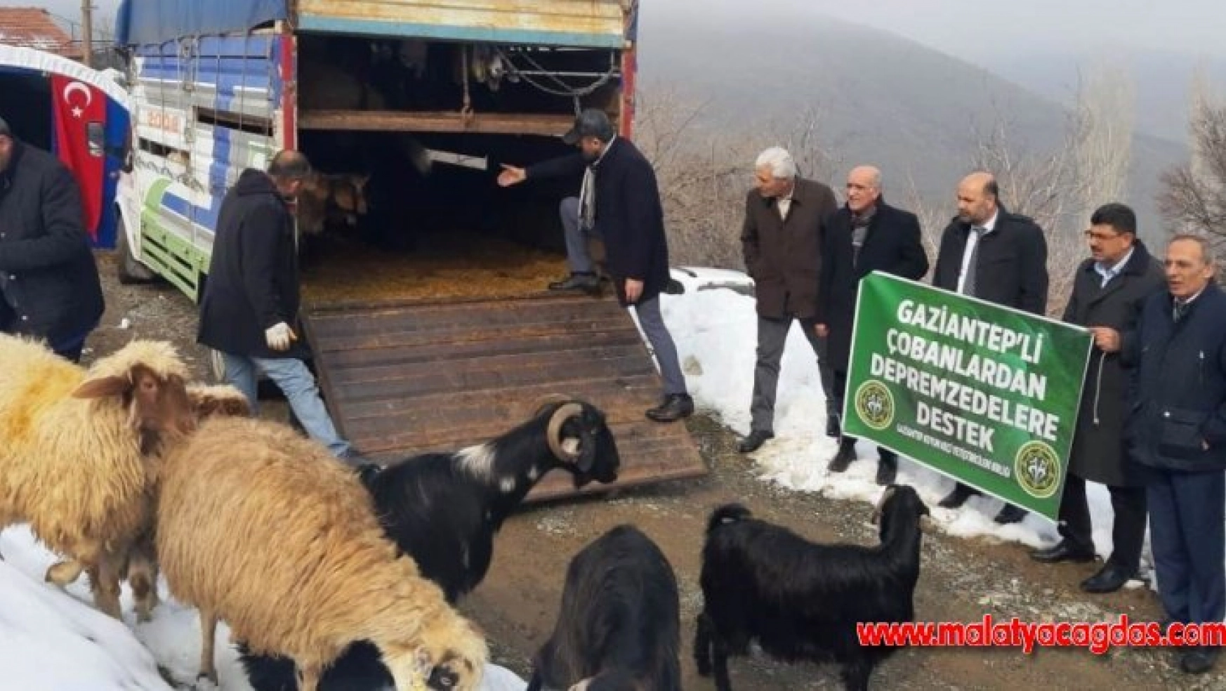 Gaziantepli çobanlardan depremzedelere anlamlı destek