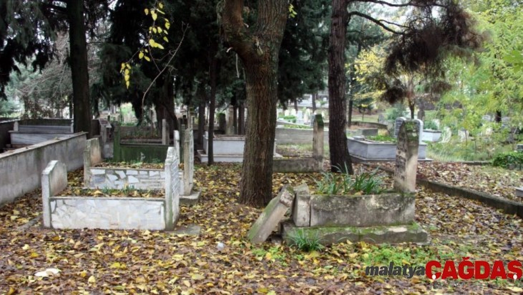 İstiklal Savaşı gazilerinin mezarları bakım bekliyor