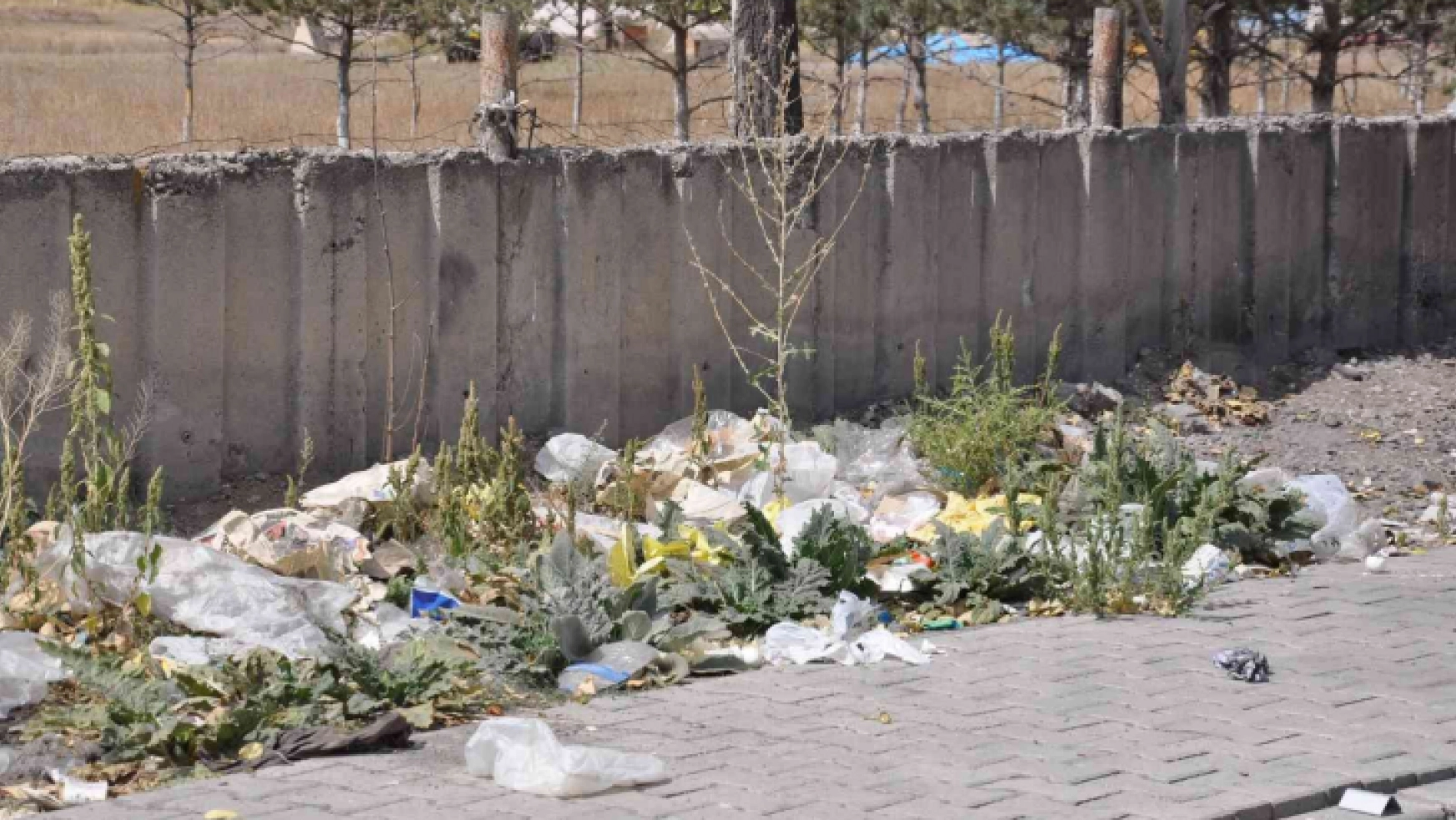 Kars'ta gelişi güzel atılan çöpler çevreyi kirletiyor