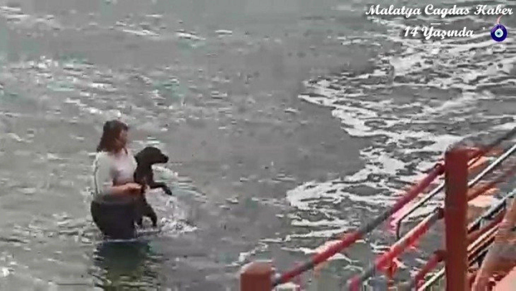 Kıyafetleri ile denize girip köpeği ölmekten kurtardı