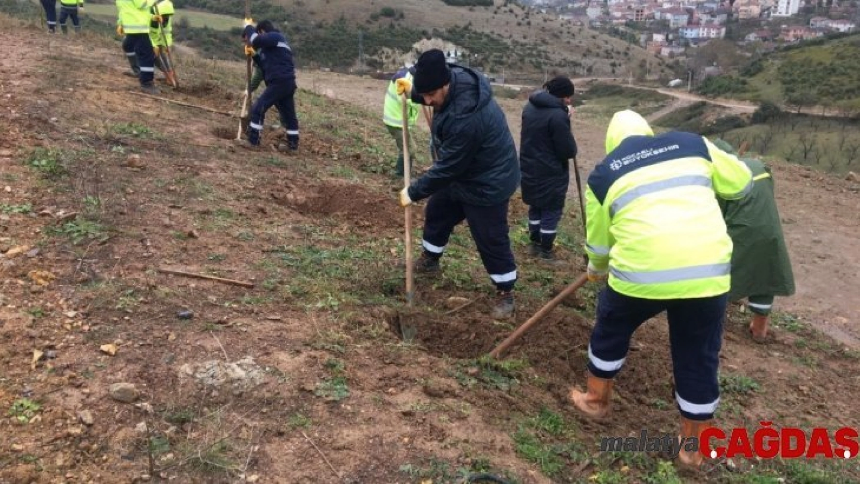 Kocaeli Büyükşehir Belediyesi dolgu sahalarını ağaçlandırıyor