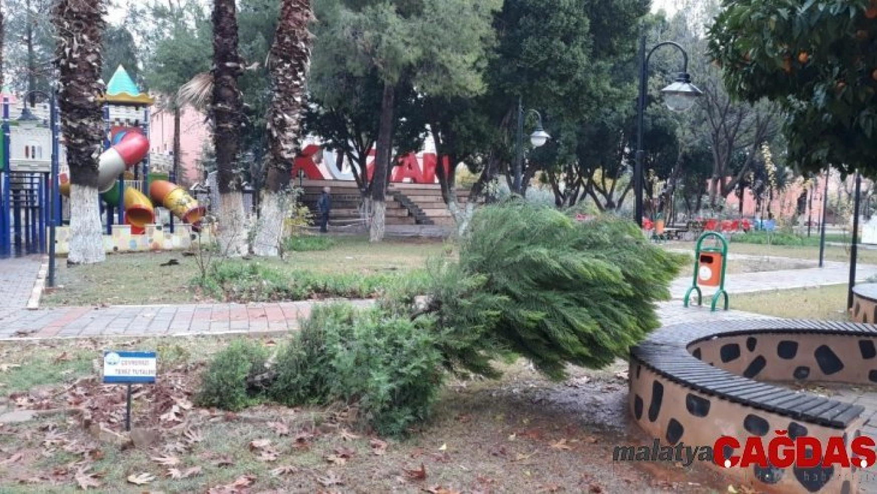 Kozan'da şiddetli yağmur ve fırtına ağaçları devirdi