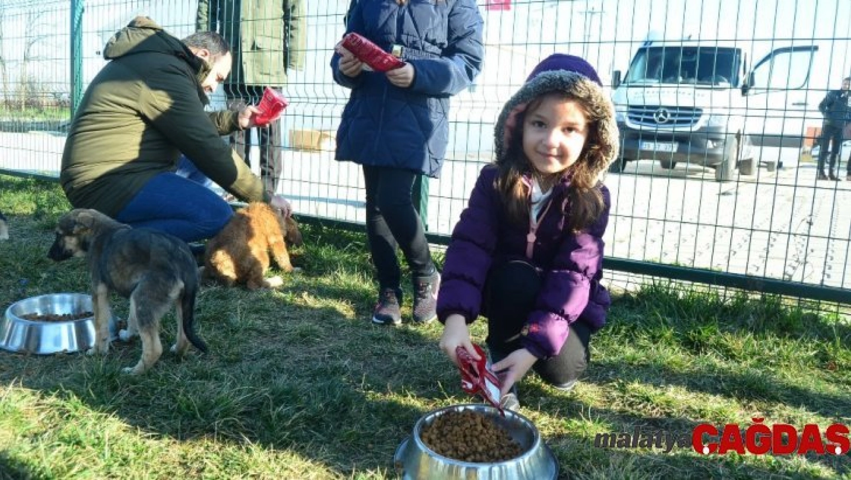 Lüleburgaz'da sokak köpeklerine 1.7 ton mama dağıtıldı