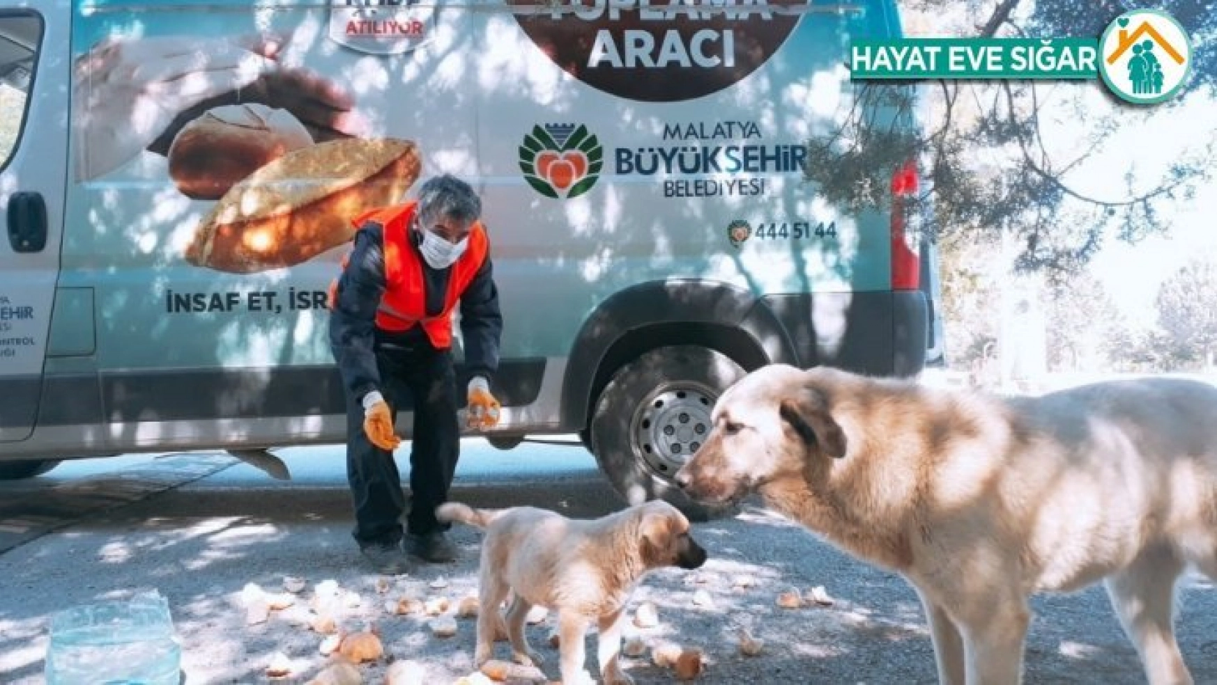 Malatya'da parklara sokak hayvanları için ekmek bırakılıyor