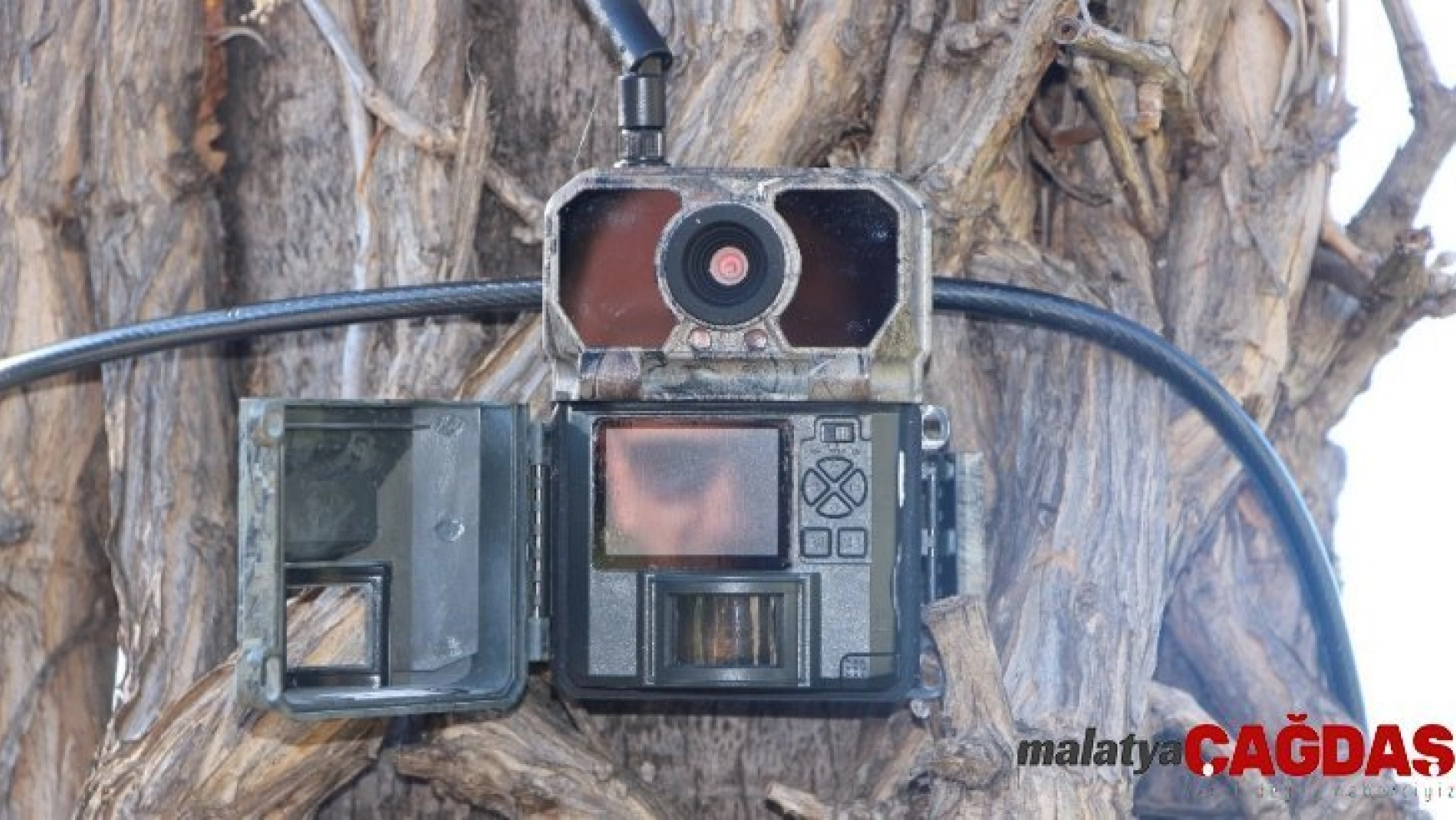 Manavgat'ın ormanları kızılötesi görüntü alabilen foto kapanlar koruyacak