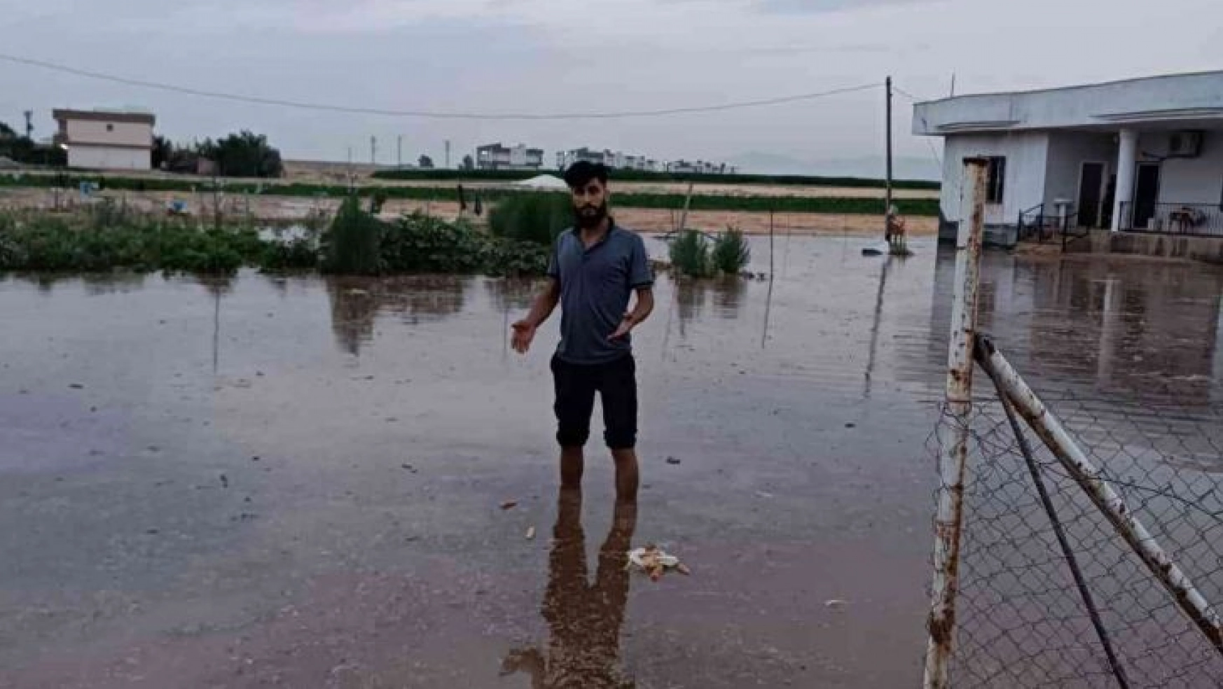 Mardin'de su borusu patladı: Yüzlerce kümes hayvanı telef oldu