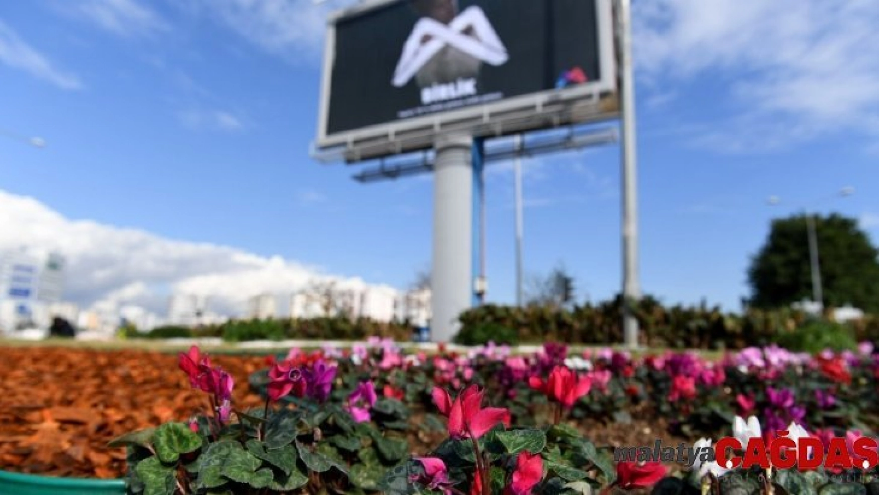 Mersin Büyükşehir Belediyesi, çiçek dikimine devam ediyor