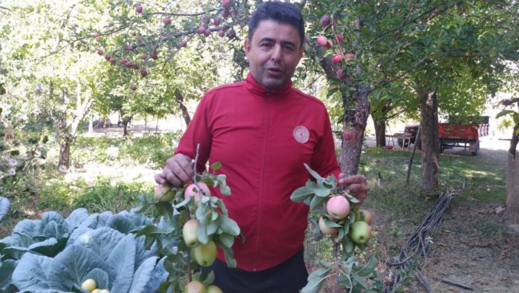 Milletvekili elma hasadına katıldı