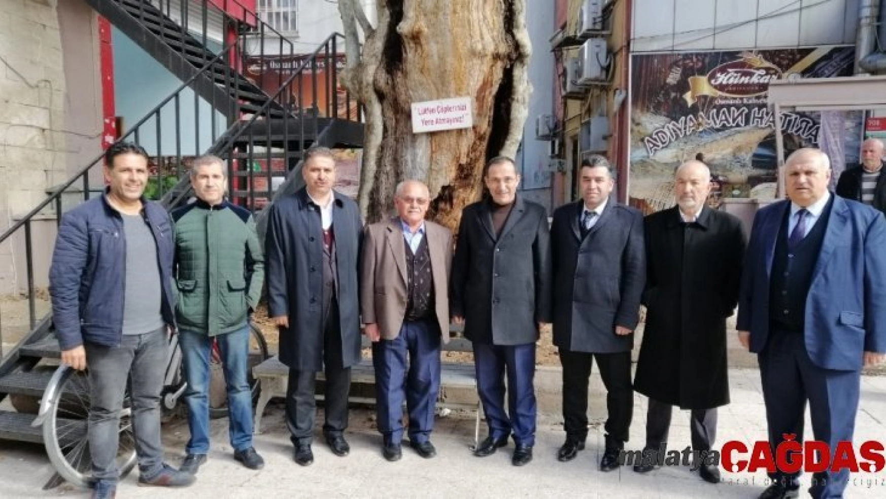 Milletvekili Fırat 400 yıllık anıt ağacı inceledi