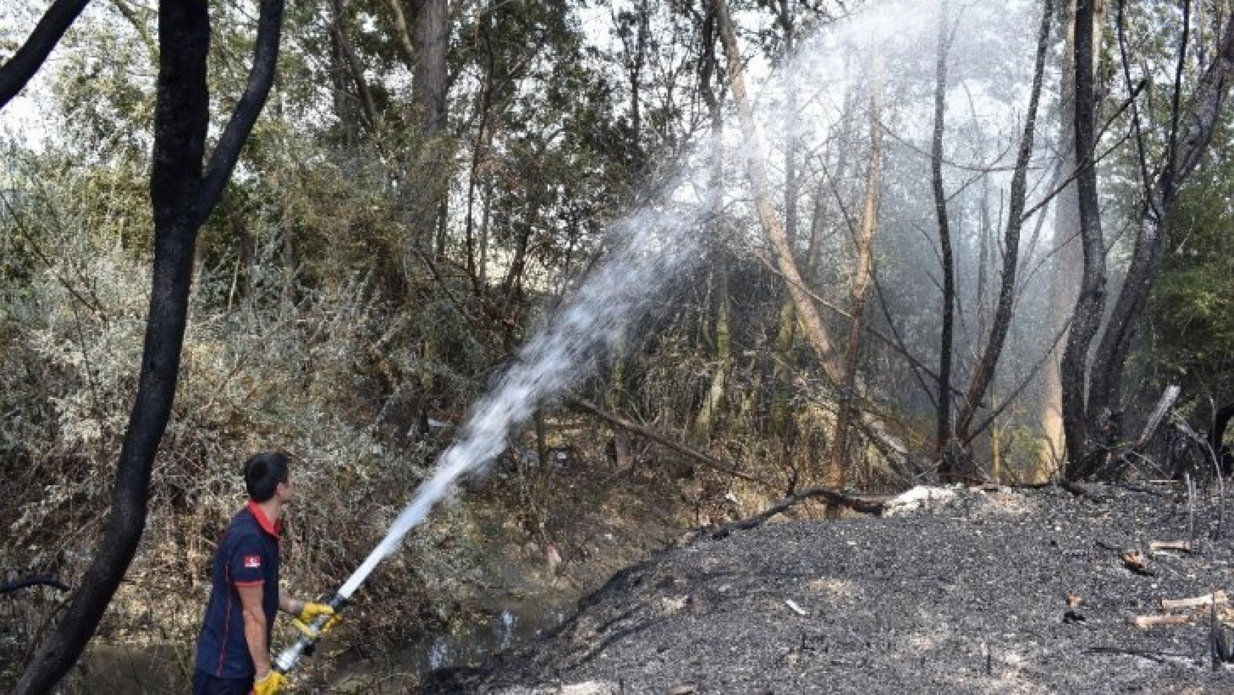 Odunlukta başlayan yangın 10 hektar alanı küle çevirdi