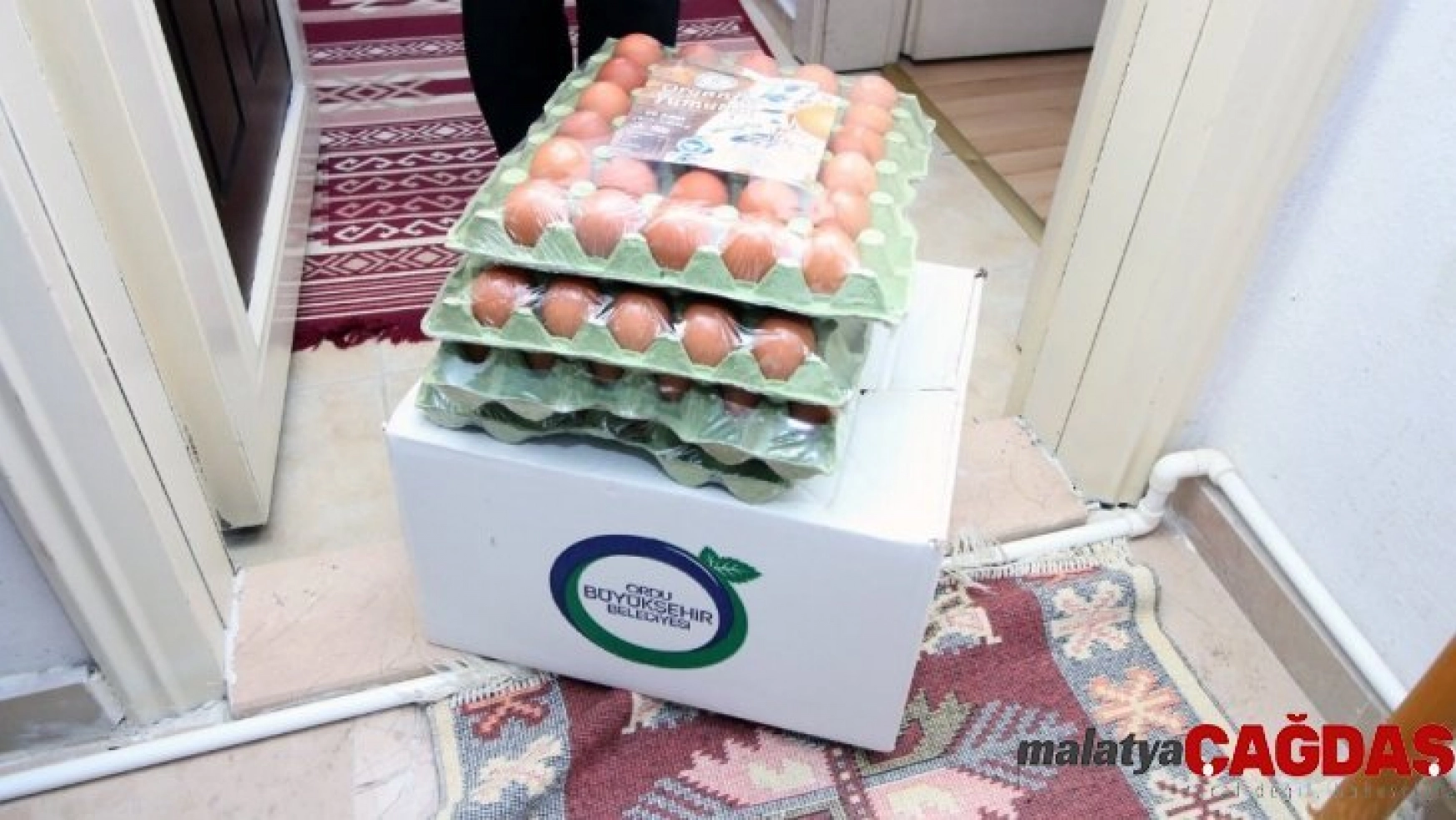Ordu'da 90 bin organik yumurta ihtiyaç sahiplerine dağıtılıyor