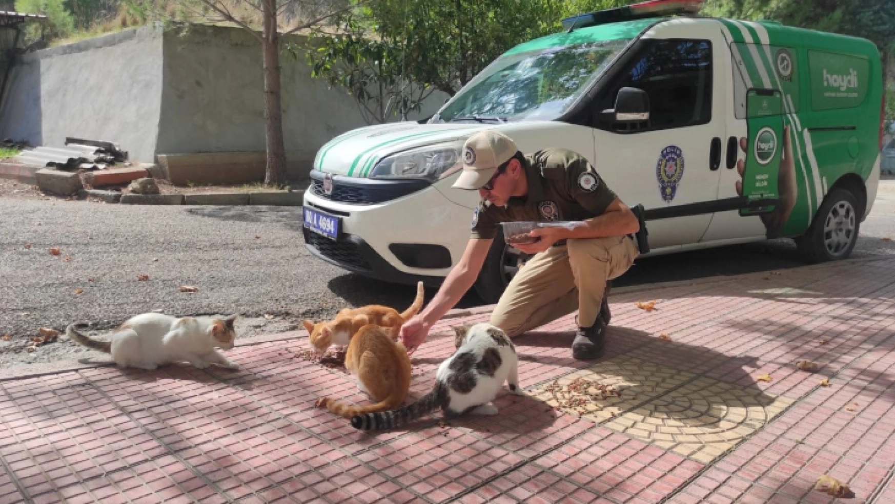 Osmaniye'de sokak hayvanlarına mama bırakıldı