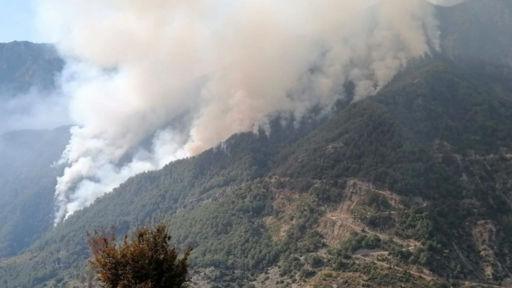 Osmaniye'deki orman yangını 3'ncü gününde büyüyerek devam ediyor
