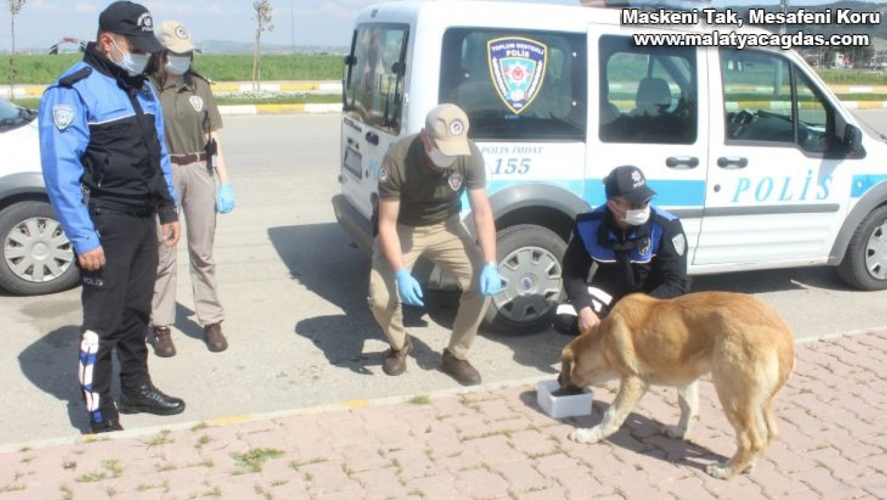 Polis ekipleri sokak hayvanlarının karnını doyurdu
