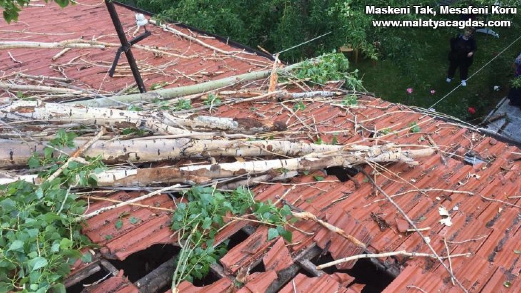 Rüzgarın devirdiği ağaç çatıda hasara neden oldu