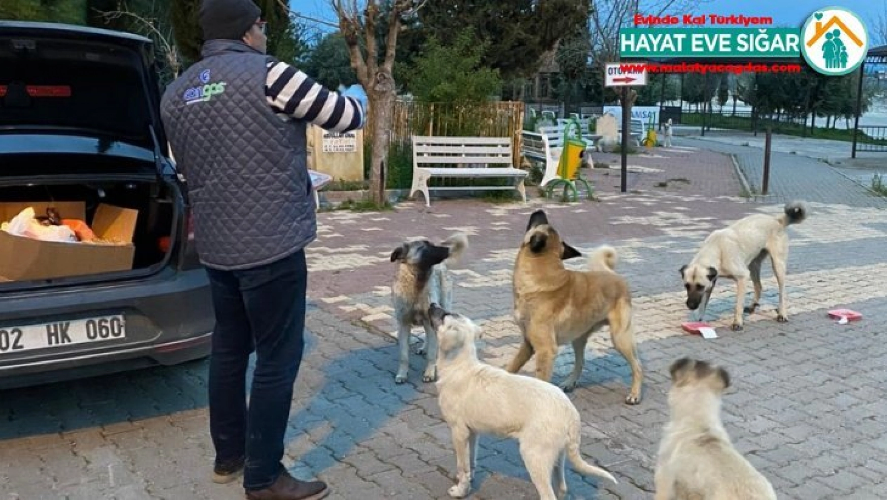 Samsat Belediyesi aç kalan hayvanları unutmadı
